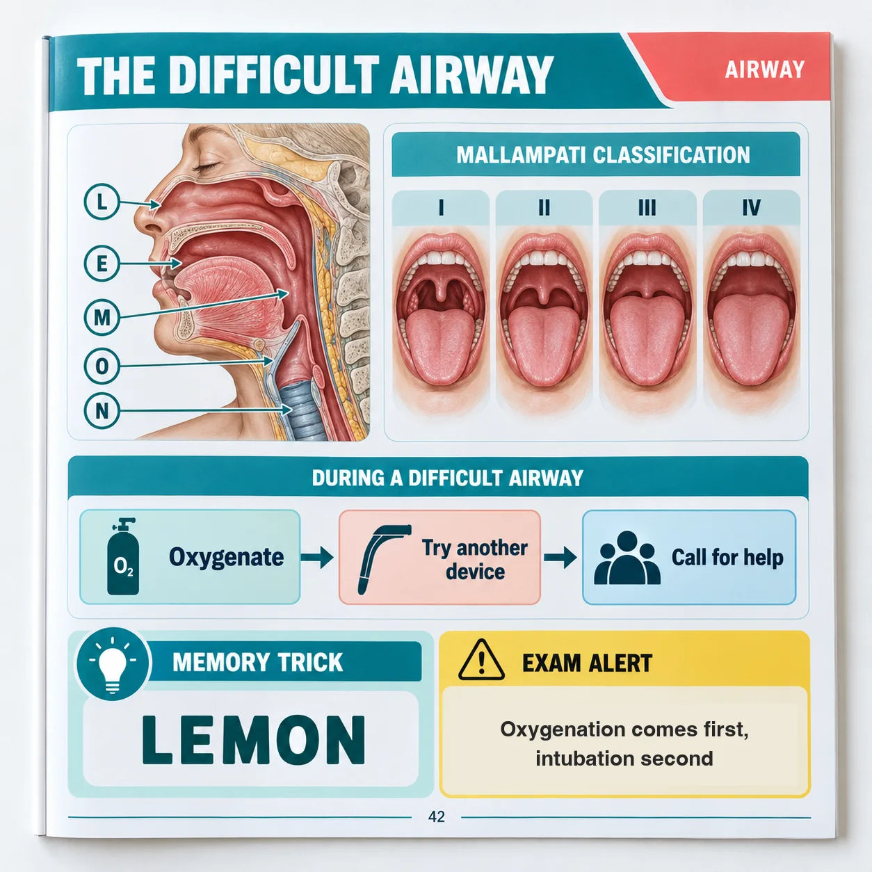 The difficult airway page: LEMON assessment and the airway algorithm drawn step by step