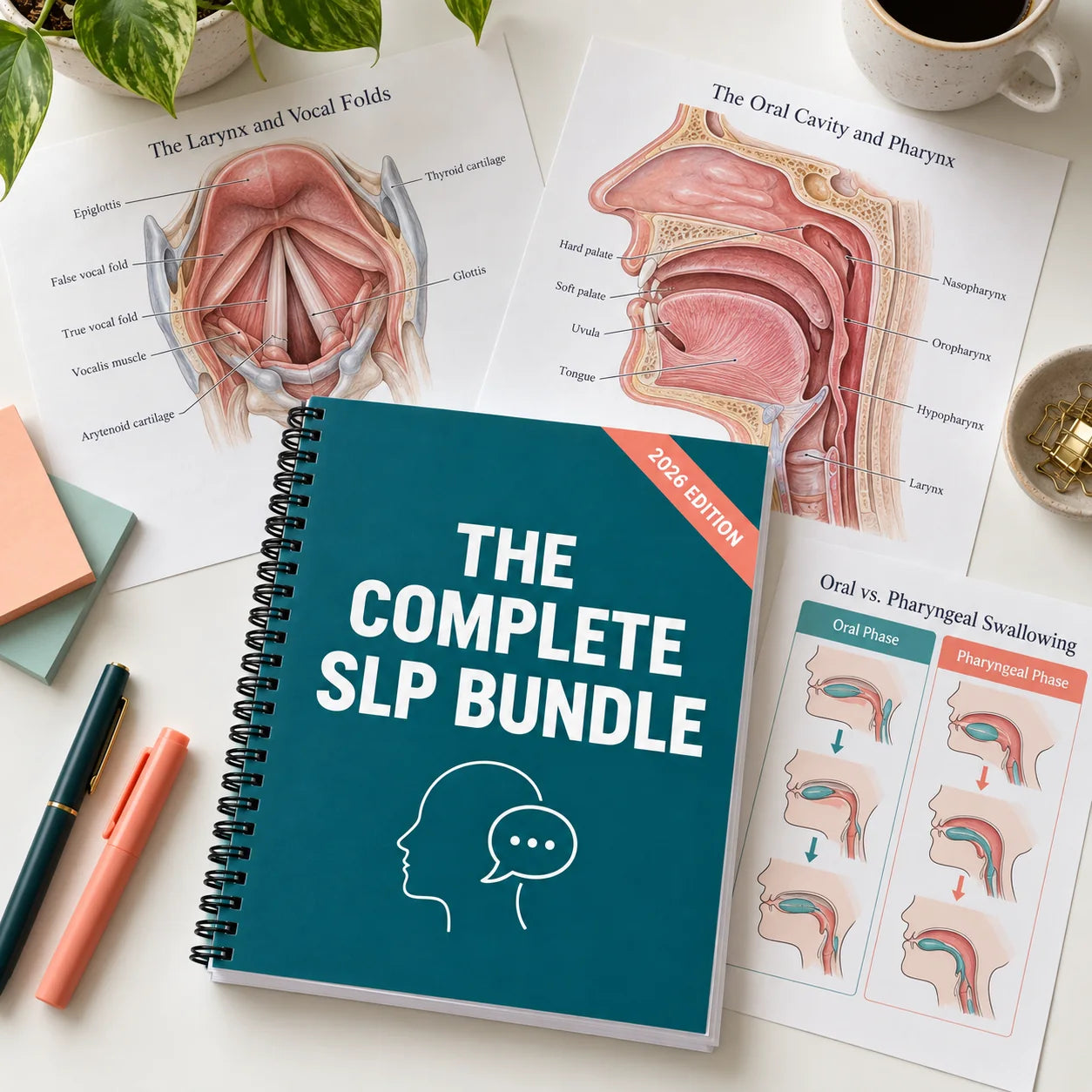 The Complete SLP Bundle with illustrated anatomy pages