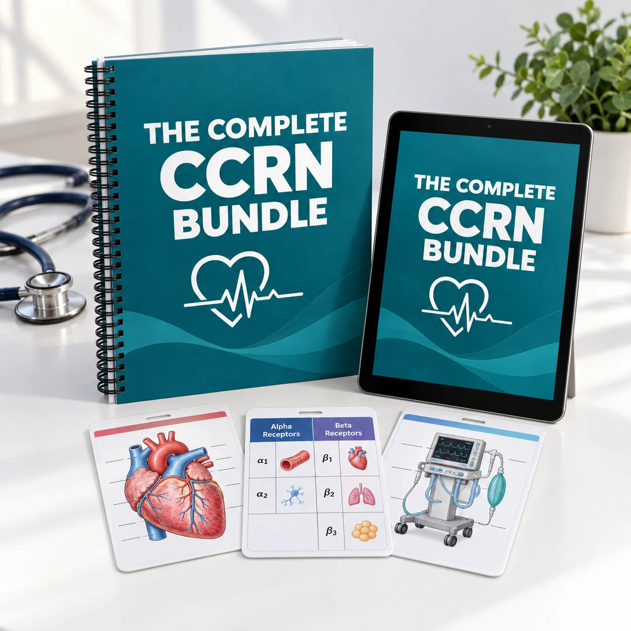 Spiral-bound book, iPad and badge cards