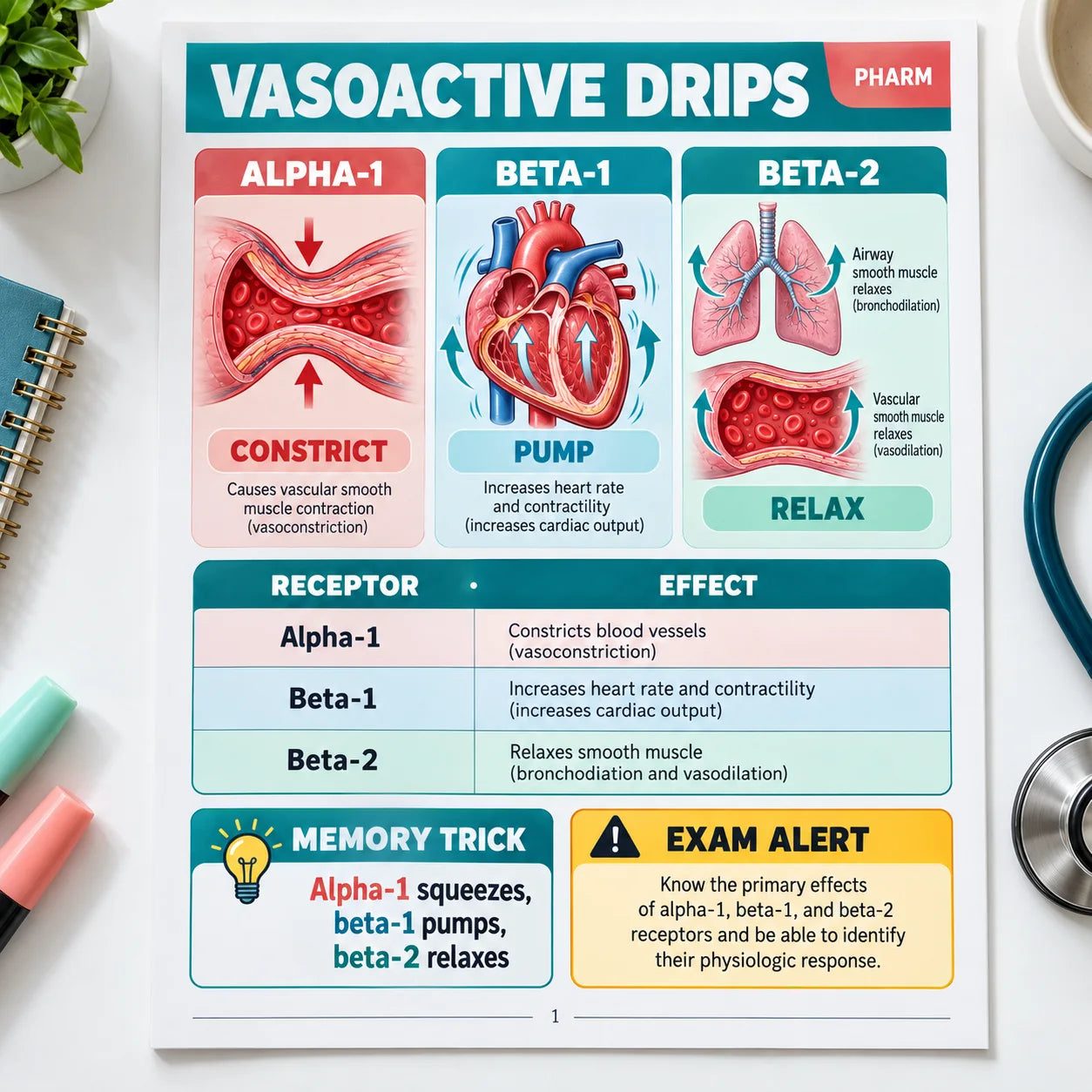Vasoactive drips page with each drug sorted by the receptors it acts on