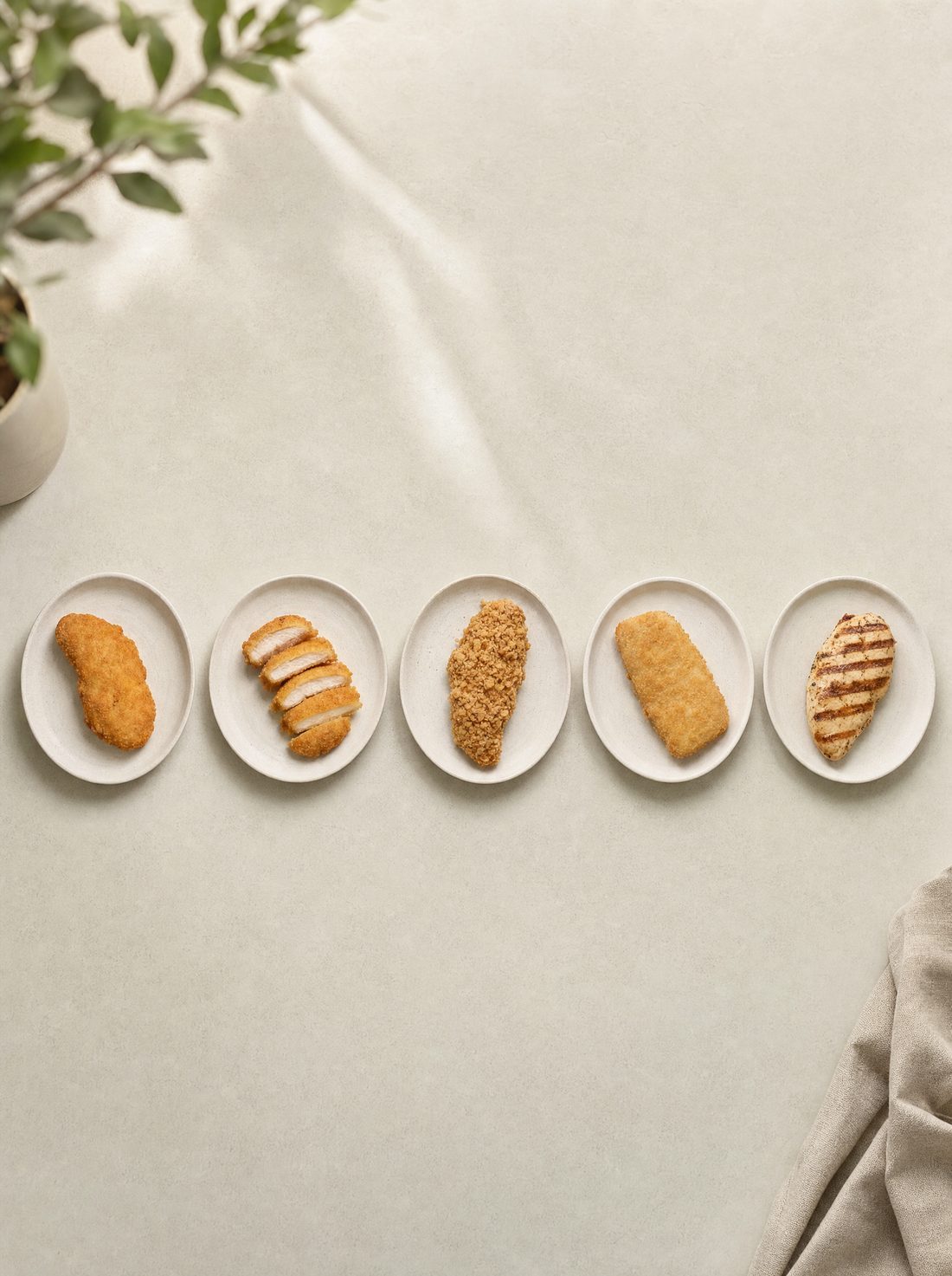Five plates showing a food chain progression
