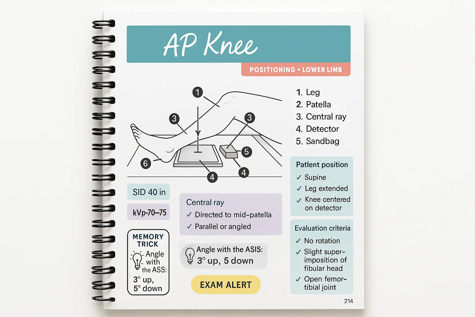 Illustrated AP knee positioning page with patient position, central ray and evaluation criteria
