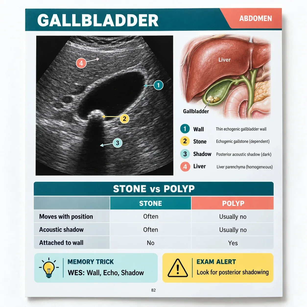 Gallbladder page with landmarks and the WES sign